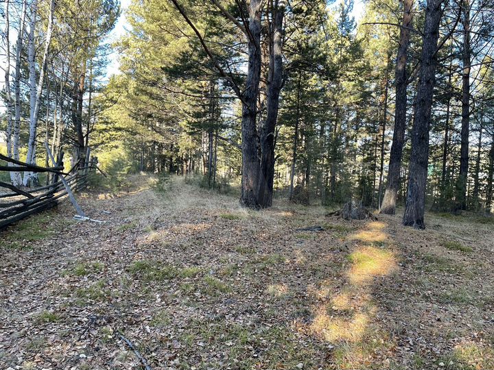 Участок 25 сот. (ИЖС)