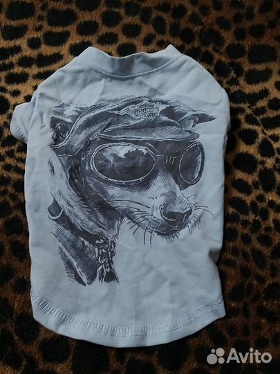 Одежда для собак