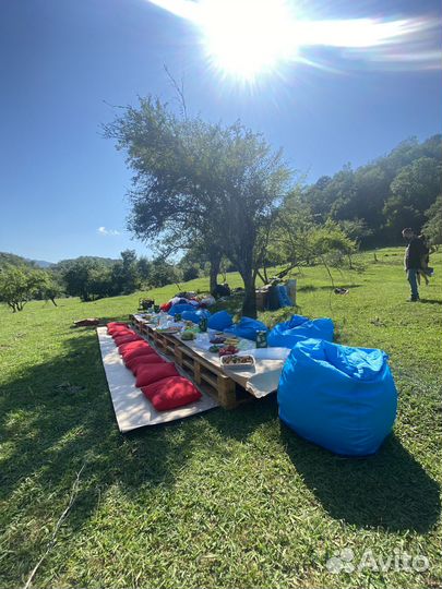 Организатор мероприятий