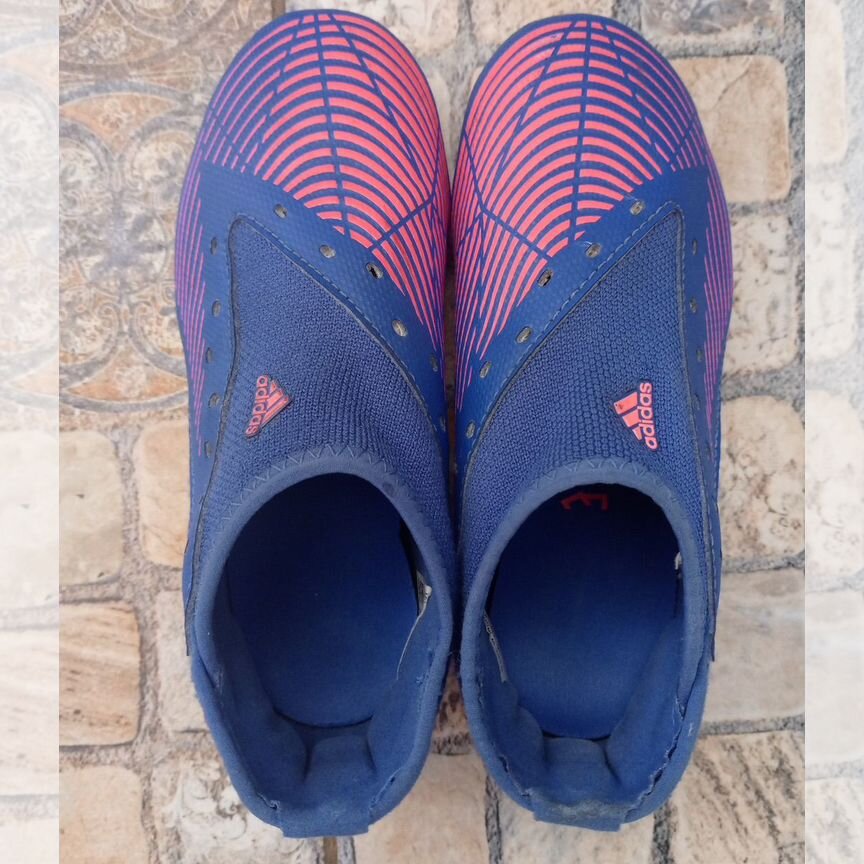 predator - Авито | Объявления во всех регионах: купить вещь