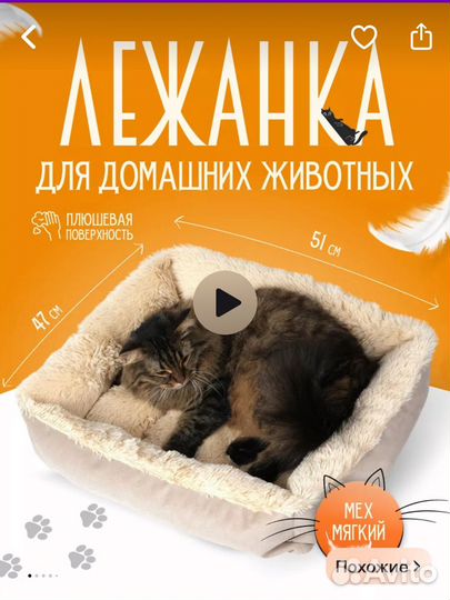Все для кота