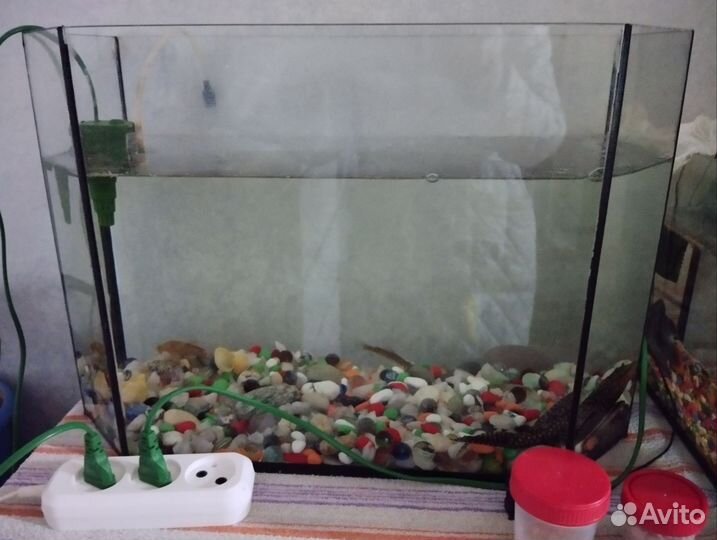 Аквариум с рыбками