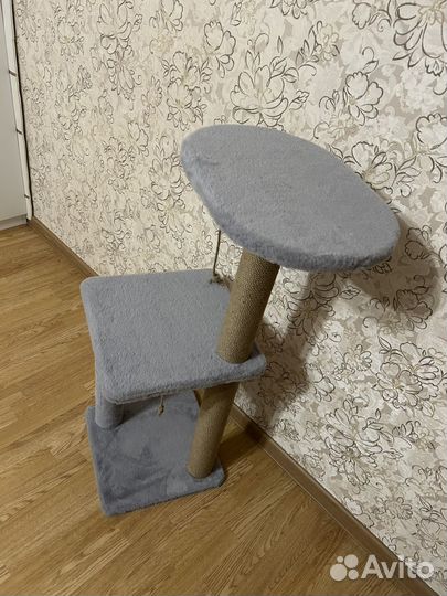 Когтеточка