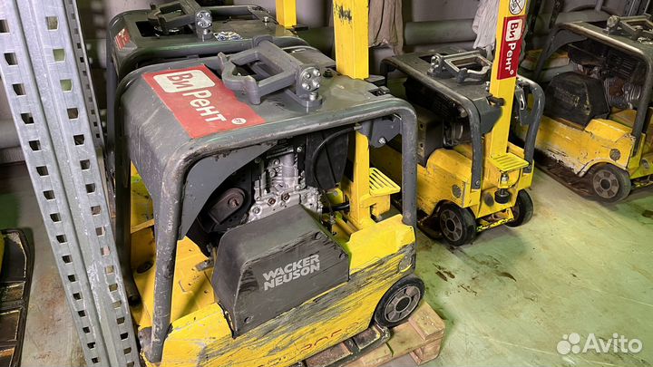 Виброплиты и вибротрамбовки в аренду