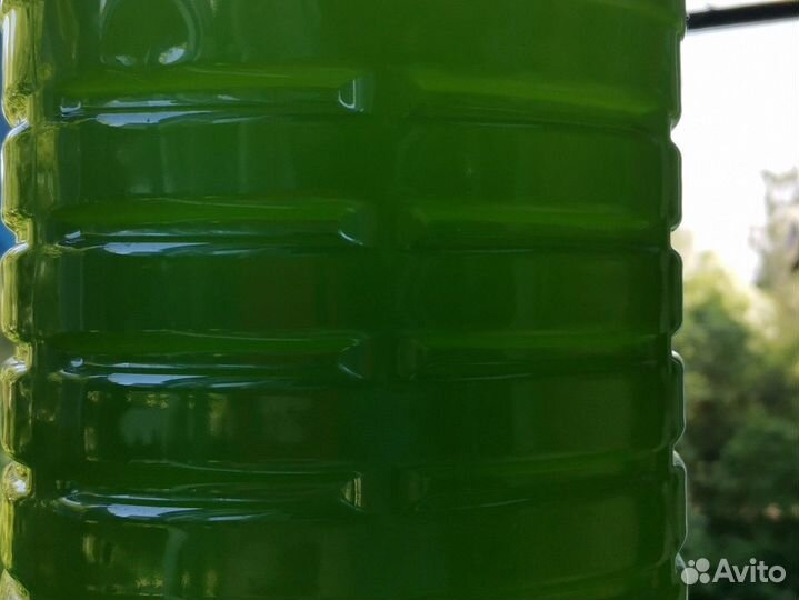 Хлорелла для озера