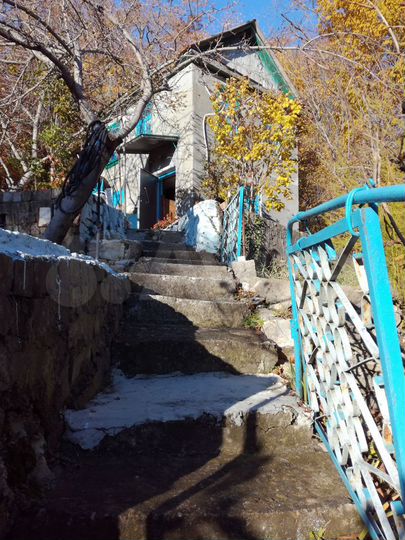 Дом 21,7 м² на участке 4 сот.