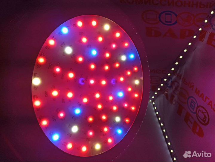 Фитолампа б9