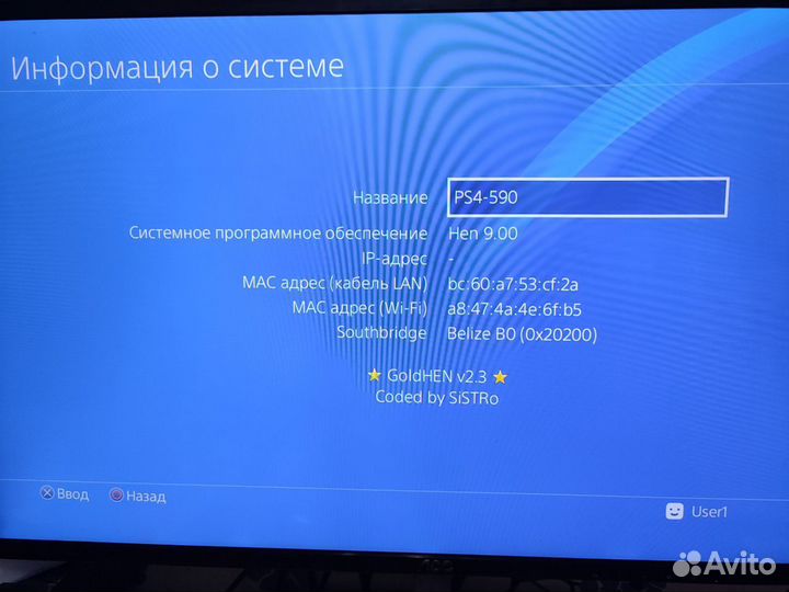 PlayStation 4 Slim 1TB прошитая HEN