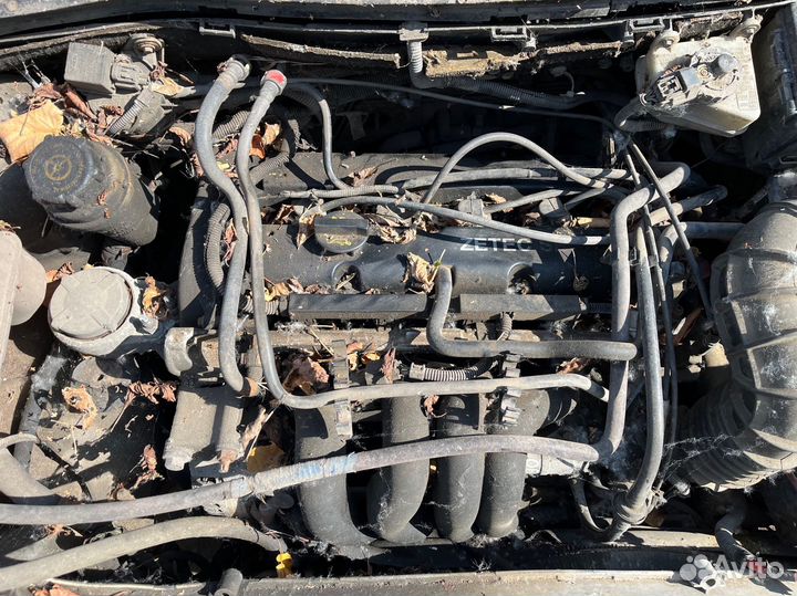 Двигатель fudd 1.6 Форд Фокус 1