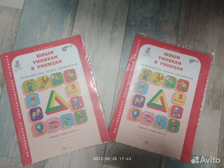 Рабочая тетрадь юным умникам и умницам 2 класс