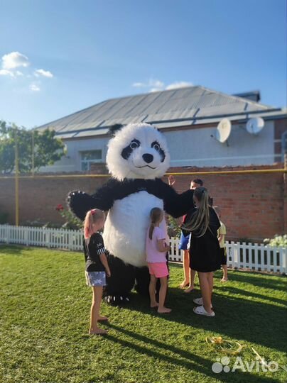 Аниматор/Белый Медведь,Чебурашка,Халк, Мишки Тедди