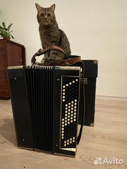 Баян тульский