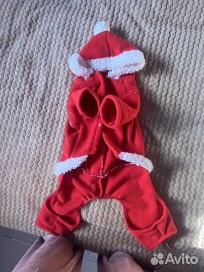 Одежда для собак