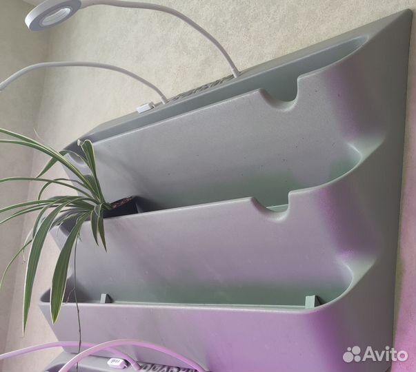 Фитомодуль