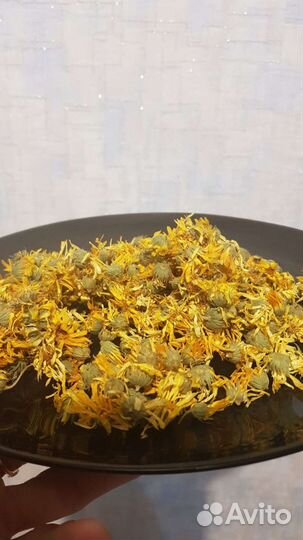 Календула лекарственная