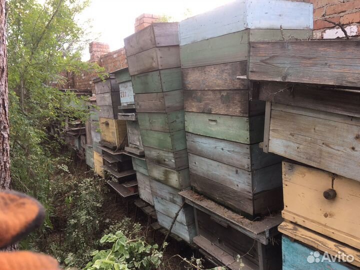 Ульи для пчел б/у