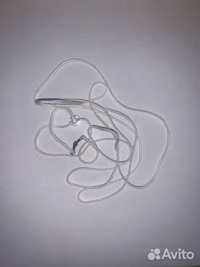 Ринговка для собак