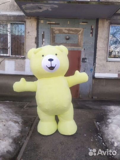 Поздравление от мишки Большой медведь аниматор