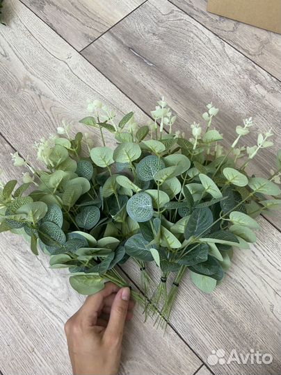 Эвкалипт искусственный