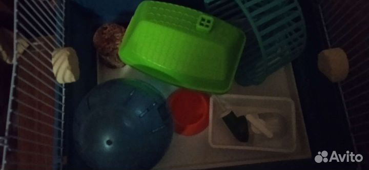 Клетка для грызунов бу