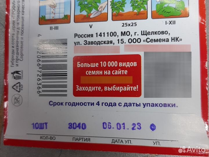 Дихондра изумрудный водопад