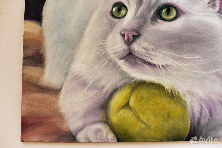Картина маслом Портрет Белого кота
