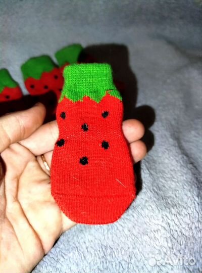 Носки для собак мелких пород