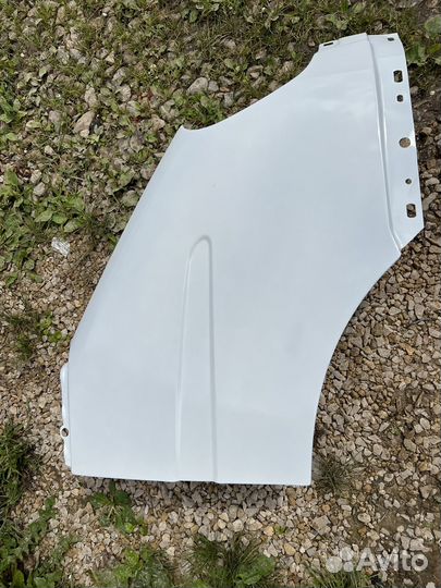 Новое железное крыло ГАЗЕЛЬ