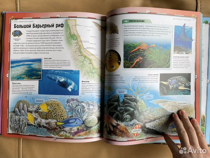 Книга Animal Planet Атлас животного мира