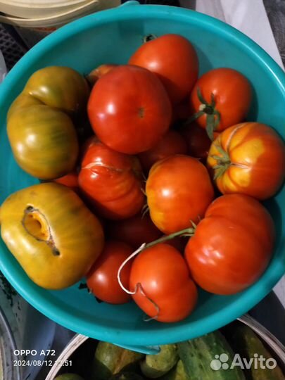 Помидоры свежие домашние