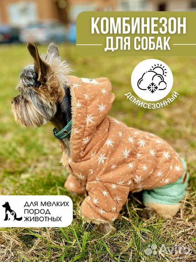 Комбинезон для собак