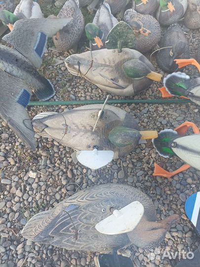 Чучела уток Кряквы Спорт пласт альфа