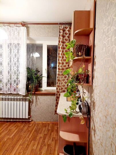 1-к. квартира, 36 м², 1/2 эт.