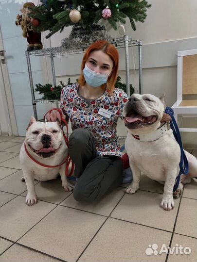 Зоопсихолог/ Кинолог/ Ветеринария