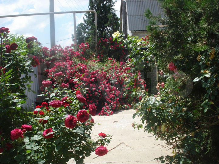 Дом 225 м² на участке 7 сот.