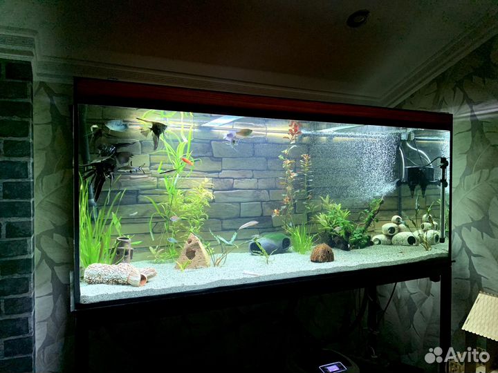 Аквариум с тумбой 400 литров