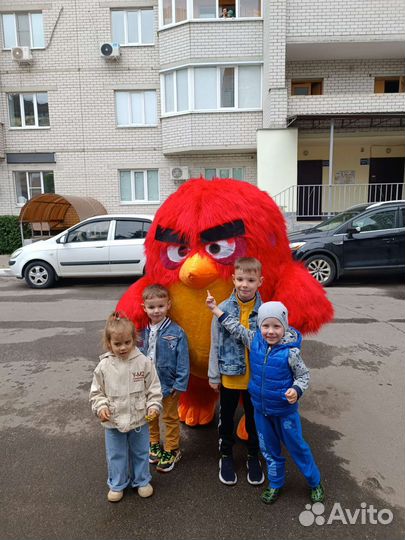 Аниматор ростовая кукла Гарик