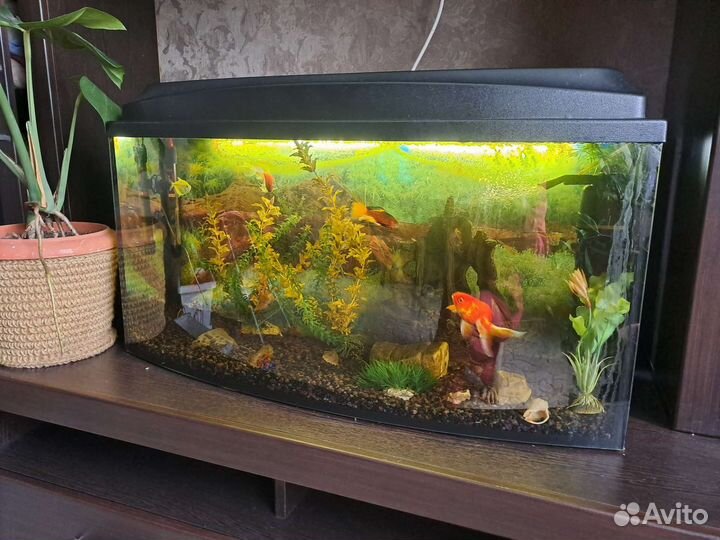 Аквариум на 120 литров