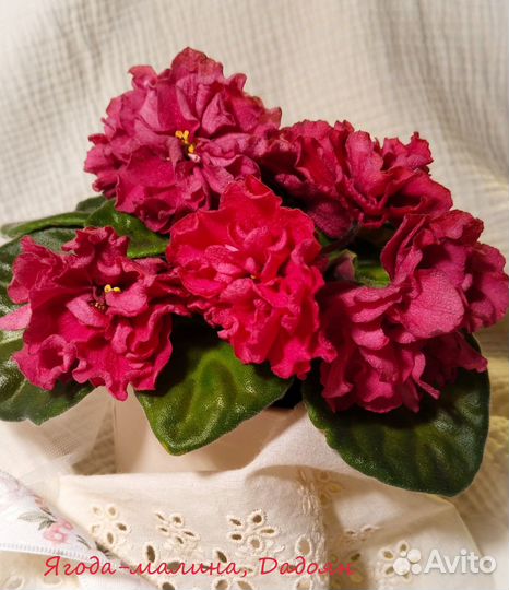 Фиалки стандарты - детки