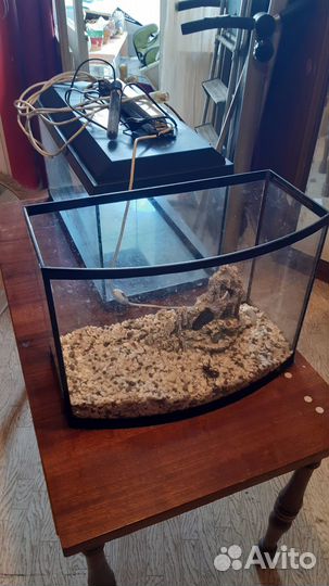 Аквариум бу