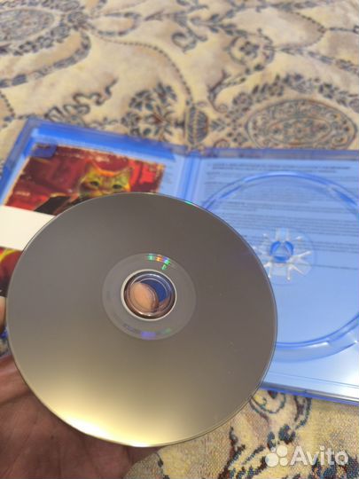 Stray ps5 диск