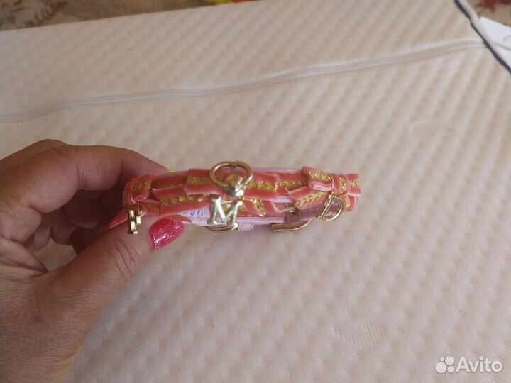 Ошейник для небольшой собачки