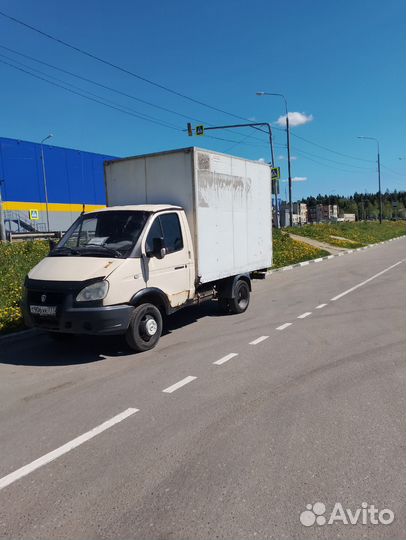 Модель газель