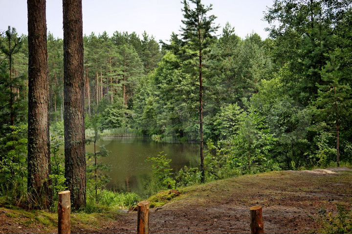 Участок 25 сот. (ИЖС)