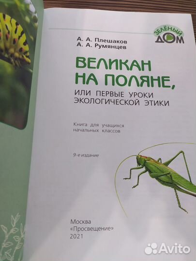 Великан на поляне. А.А. Плешаков, А.А. Румянцев