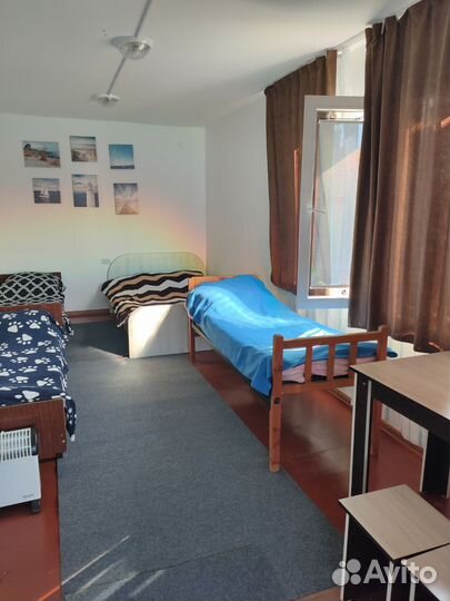 Отдых на берегу озера Шира