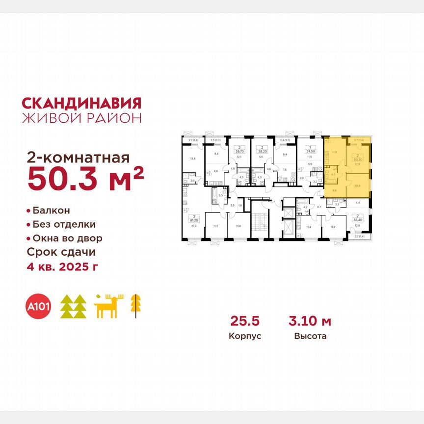 2-к. квартира, 50,3 м², 3/17 эт.