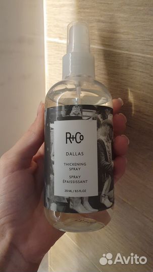 R+co dallas новый