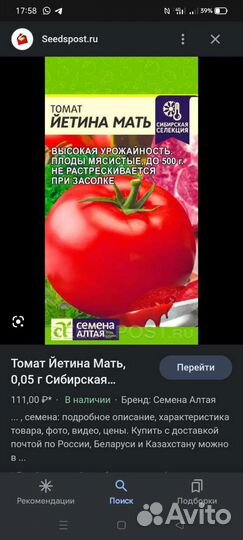 Рассада помидор, картофель