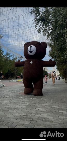 Мишка Тедди